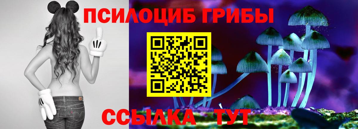 Псилоцибиновые грибы мицелий  Вход с VPN  Владимир 